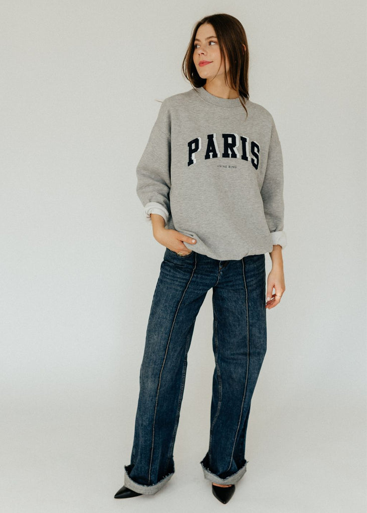 Anine Bing Tyler Paris Sweatshirt in Grey | Tula's Designer Boutique