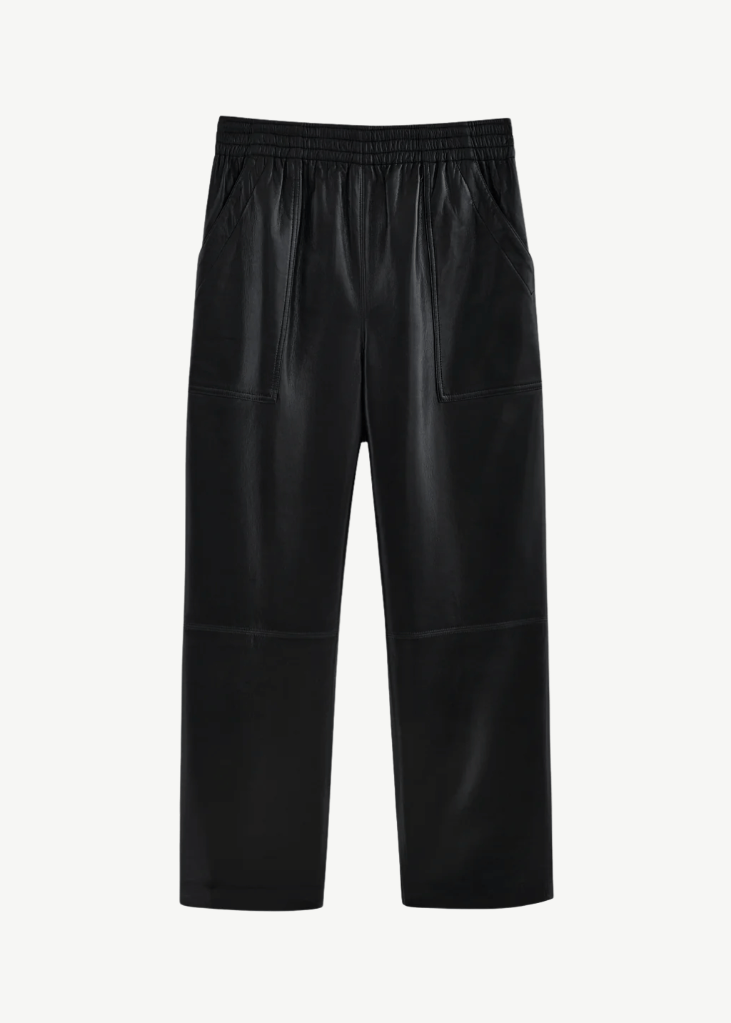 Anine Bing Billy Pant | Shop Tula