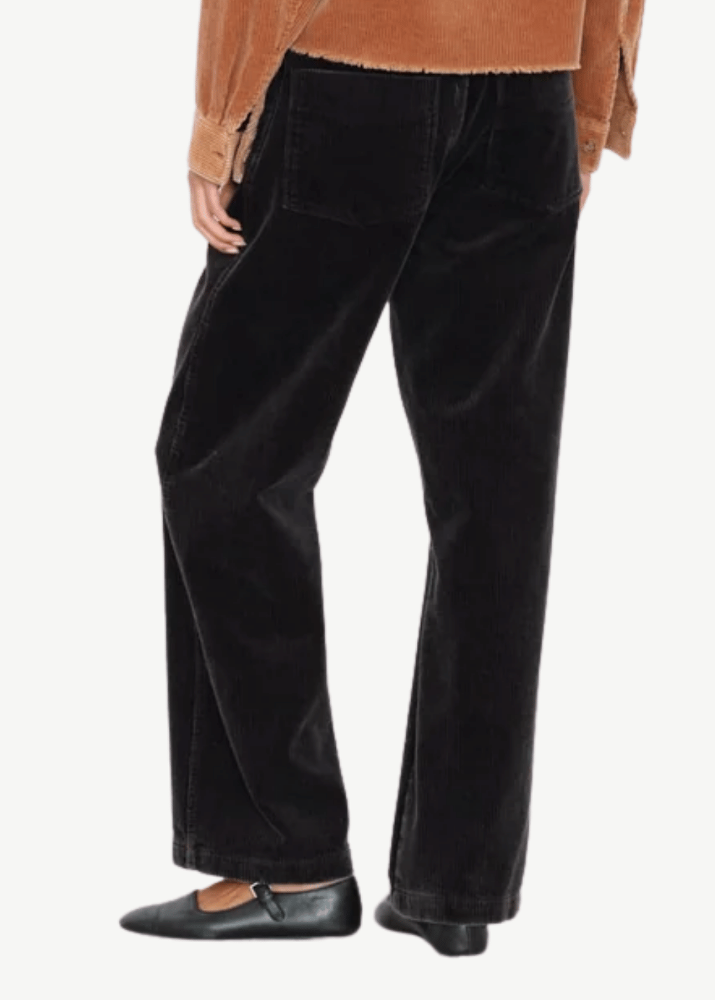 Xírena Joey Pant | Shop Tula