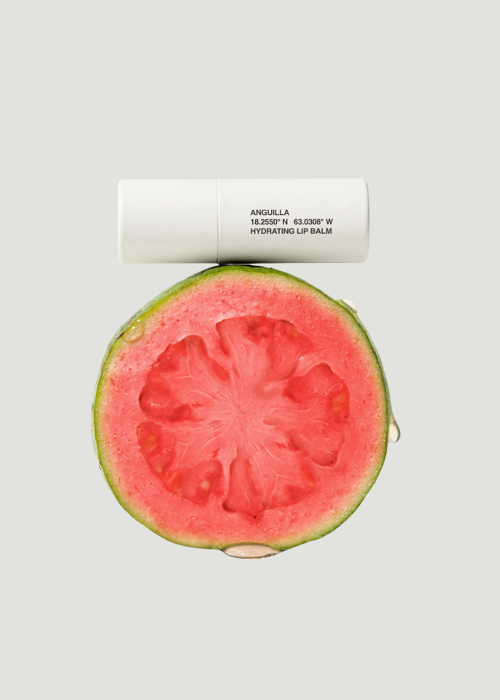 evolvetogether Hydrating Lip Balm in Anguilla | Shop Tula