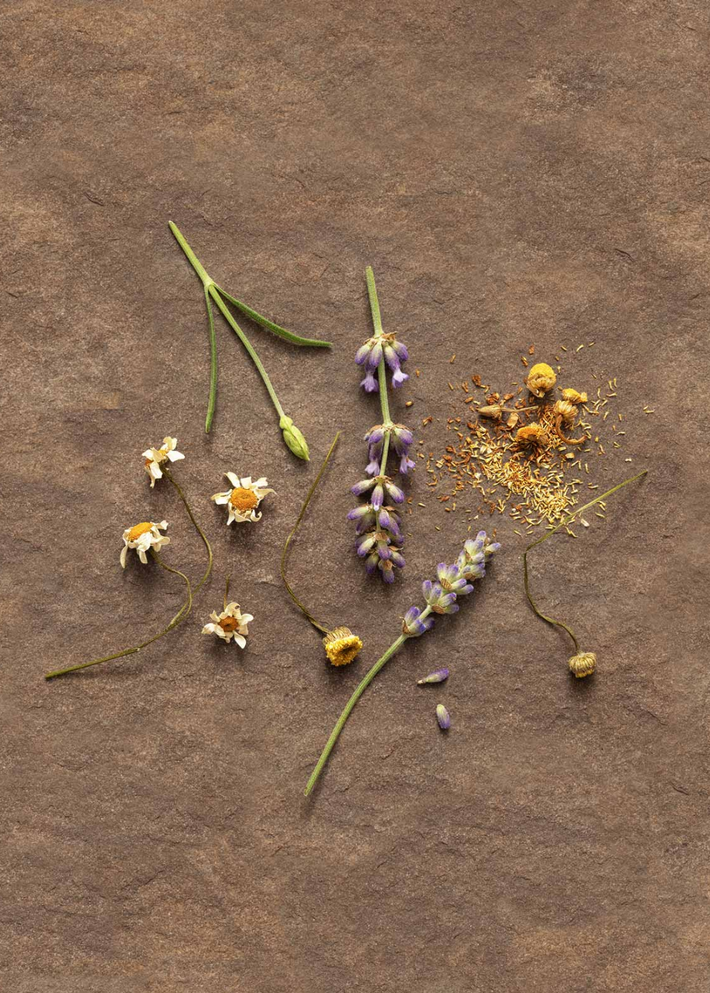 evolvetogether Hydrating Lip Balm in Provence | Shop Tula