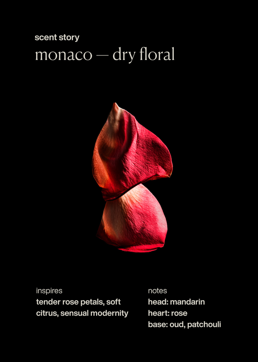 evolvetogether Monaco | Shop Tula