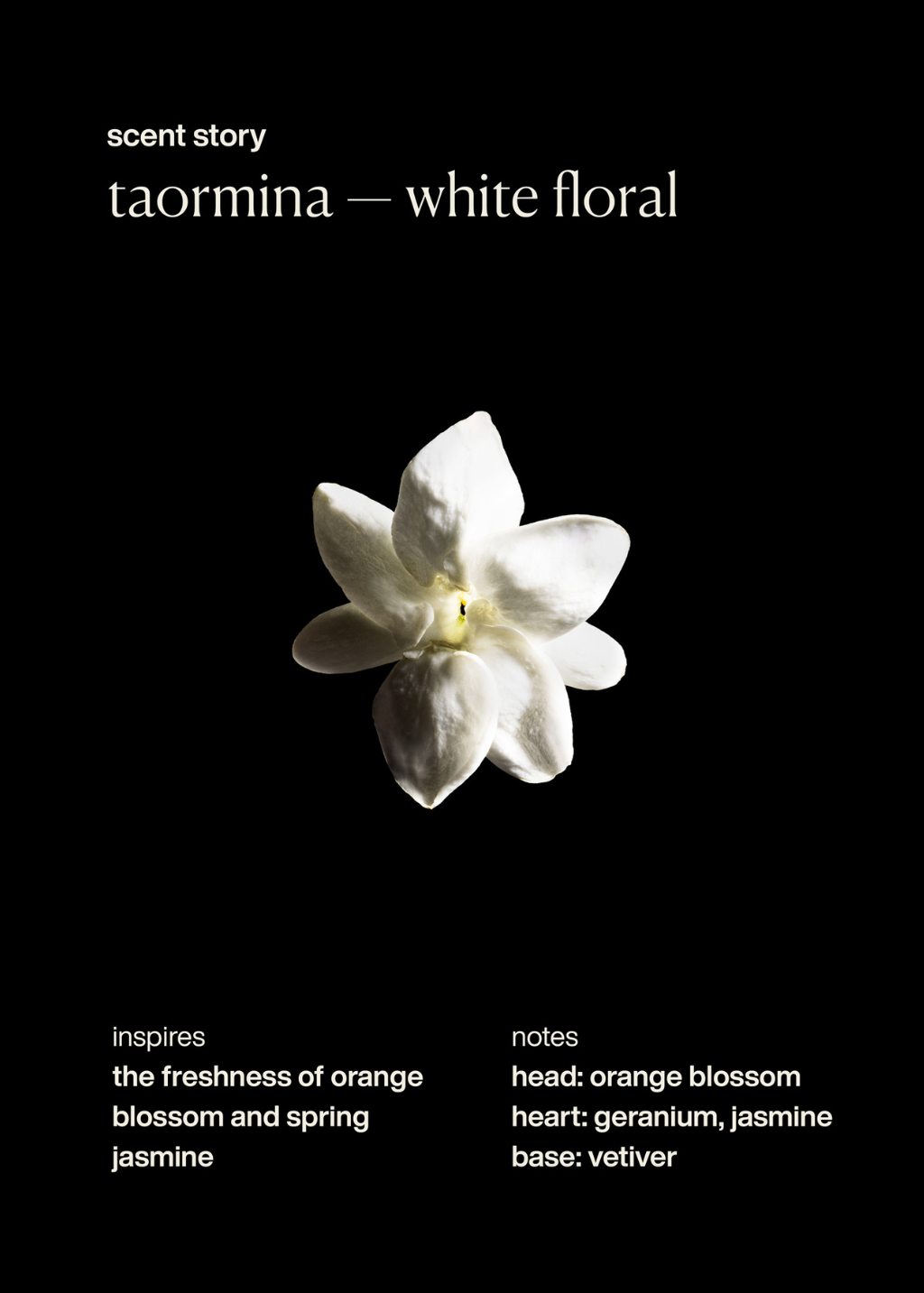 evolvetogether Taormina | Shop Tula