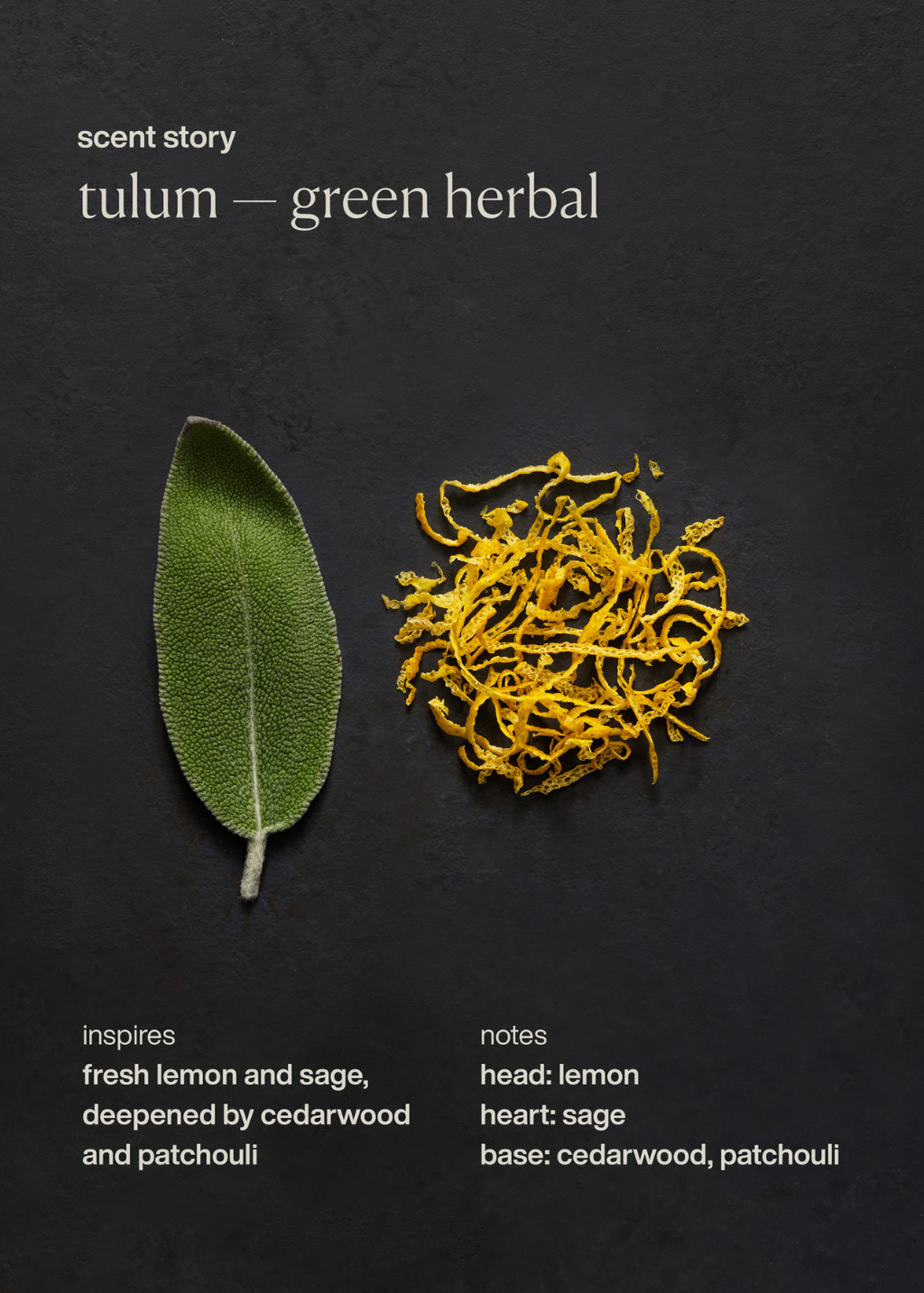 evolvetogether Tulum | Shop Tula