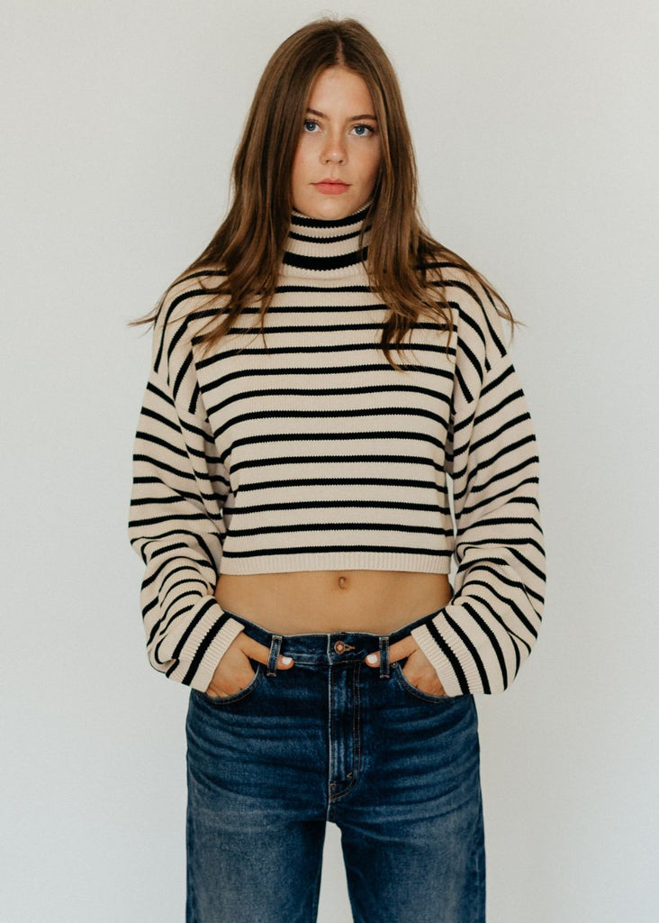 Denimist Cropped Stripe Turtleneck Sweater | Tula's Online Boutique