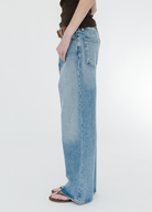 AGOLDE Low Slung Baggy Jean in Libertine | Shop Tula