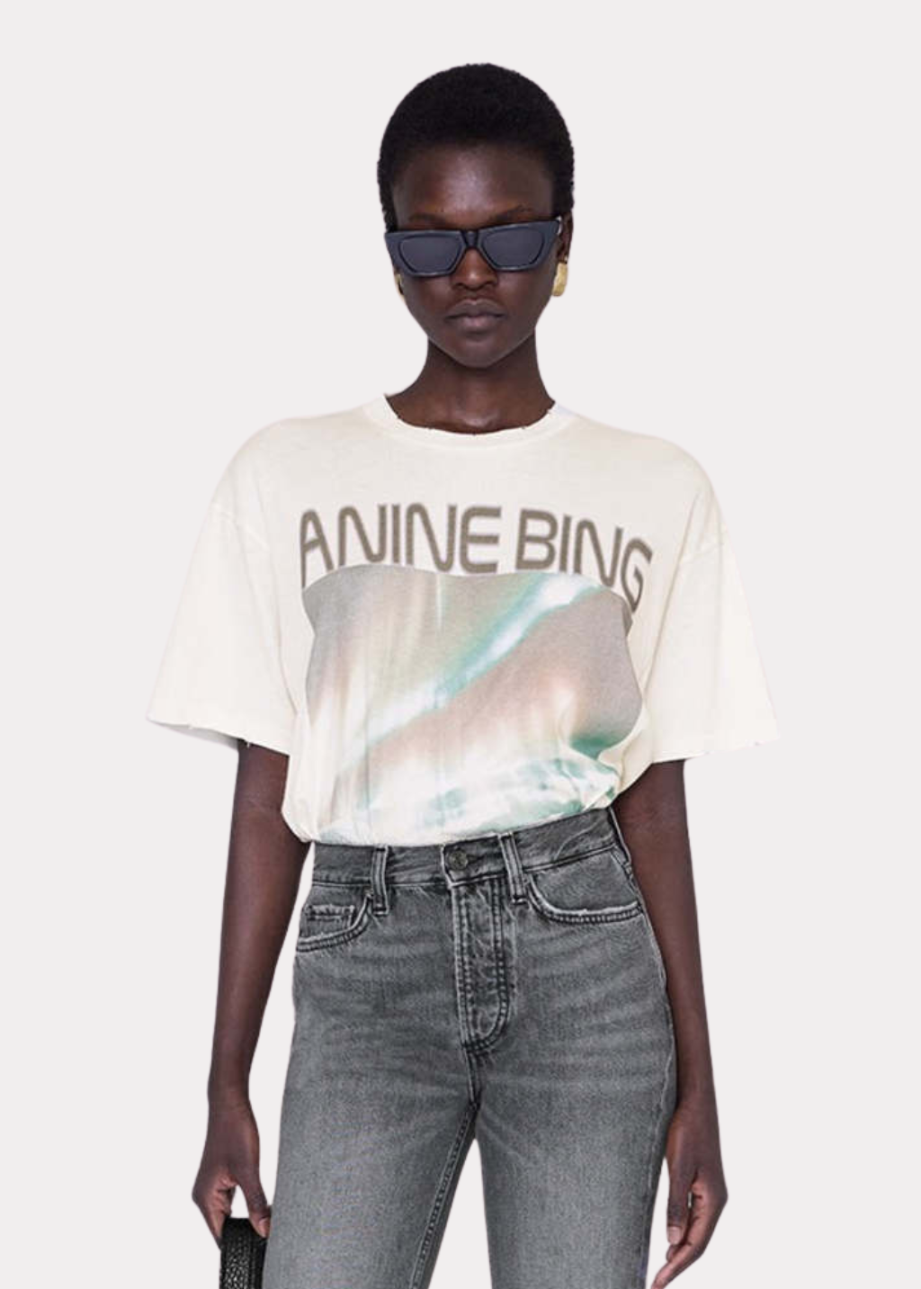 Anine Bing Cade Tee Northern Lights | Shop Tula