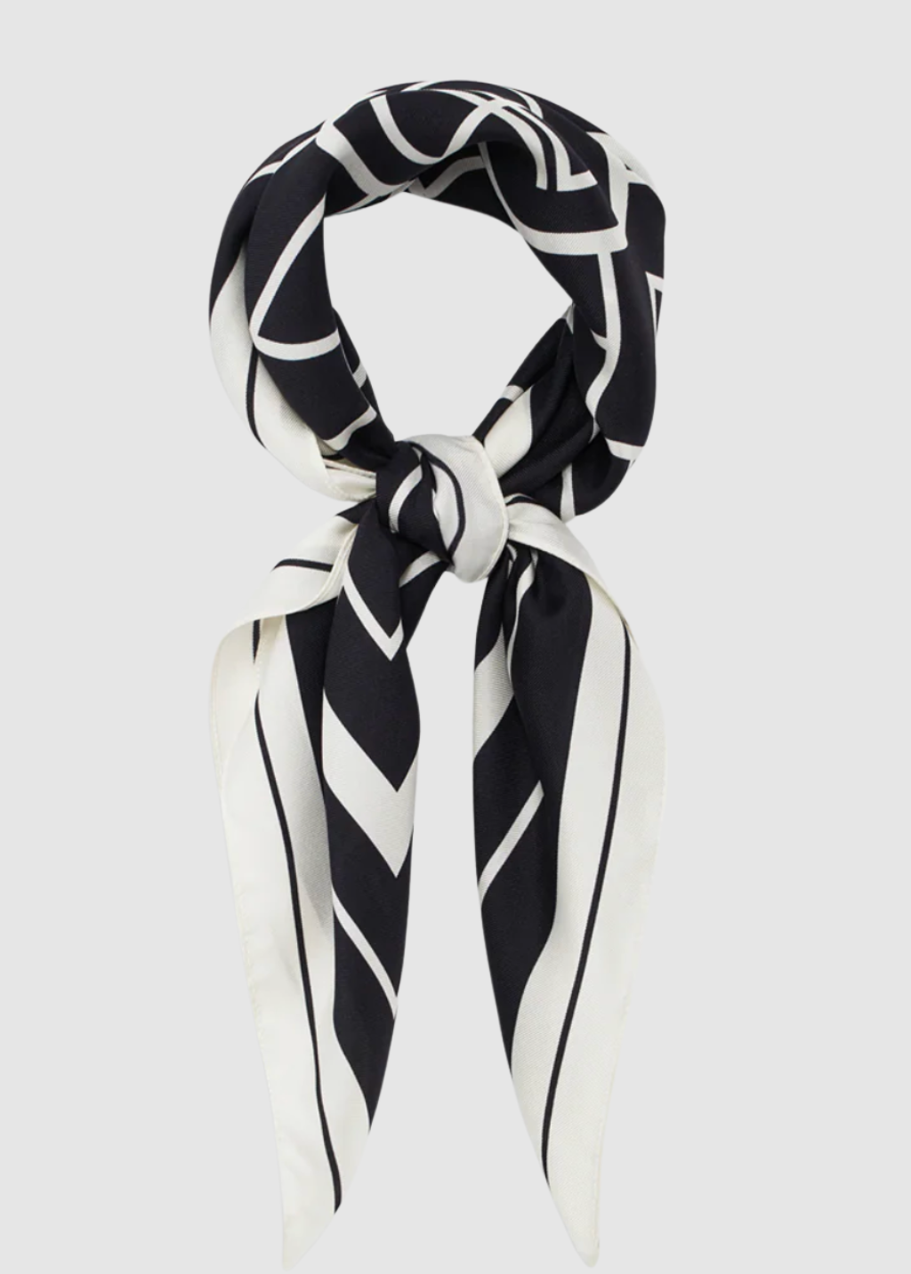 Anine Bing York Scarf in Black | Shop Tula