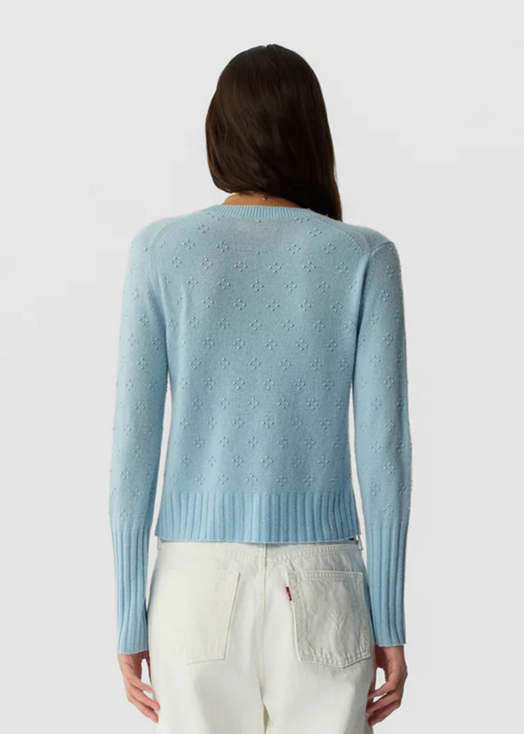 Guest In Residence Compass Shrunken Crew in Clear Sky | Shop Tula