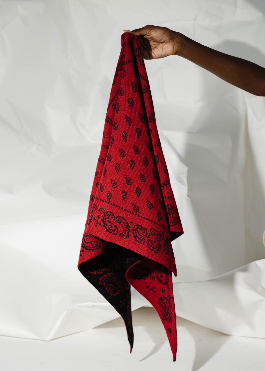 Guest in Residence The Wild Rag in Carmine/Black | Shop Tula