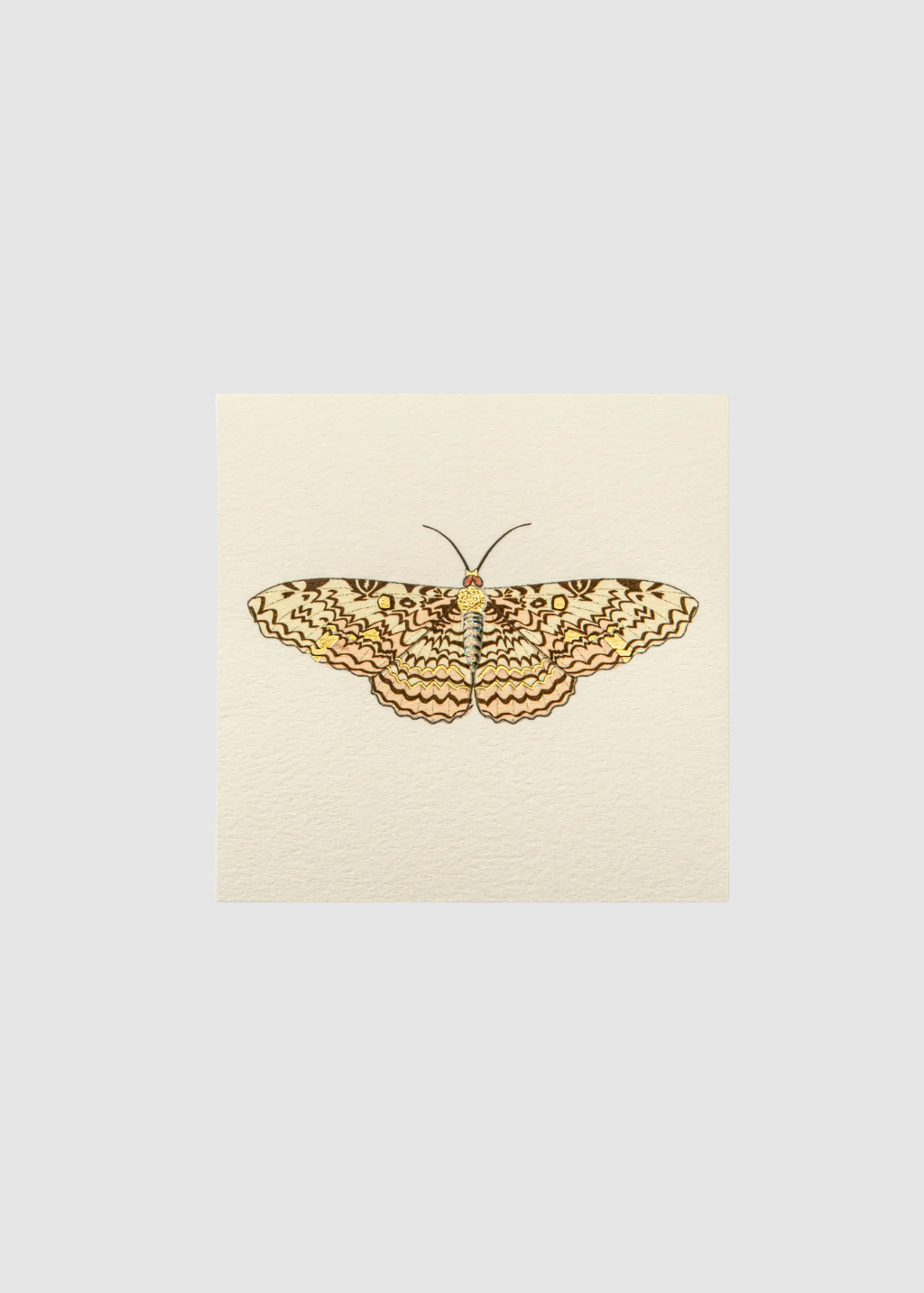 Karen Adams Martha Card | Shop Tula