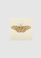Karen Adams Martha Card | Shop Tula