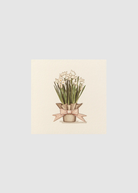 Karen Adams Paperwhites Card | Shop Tula