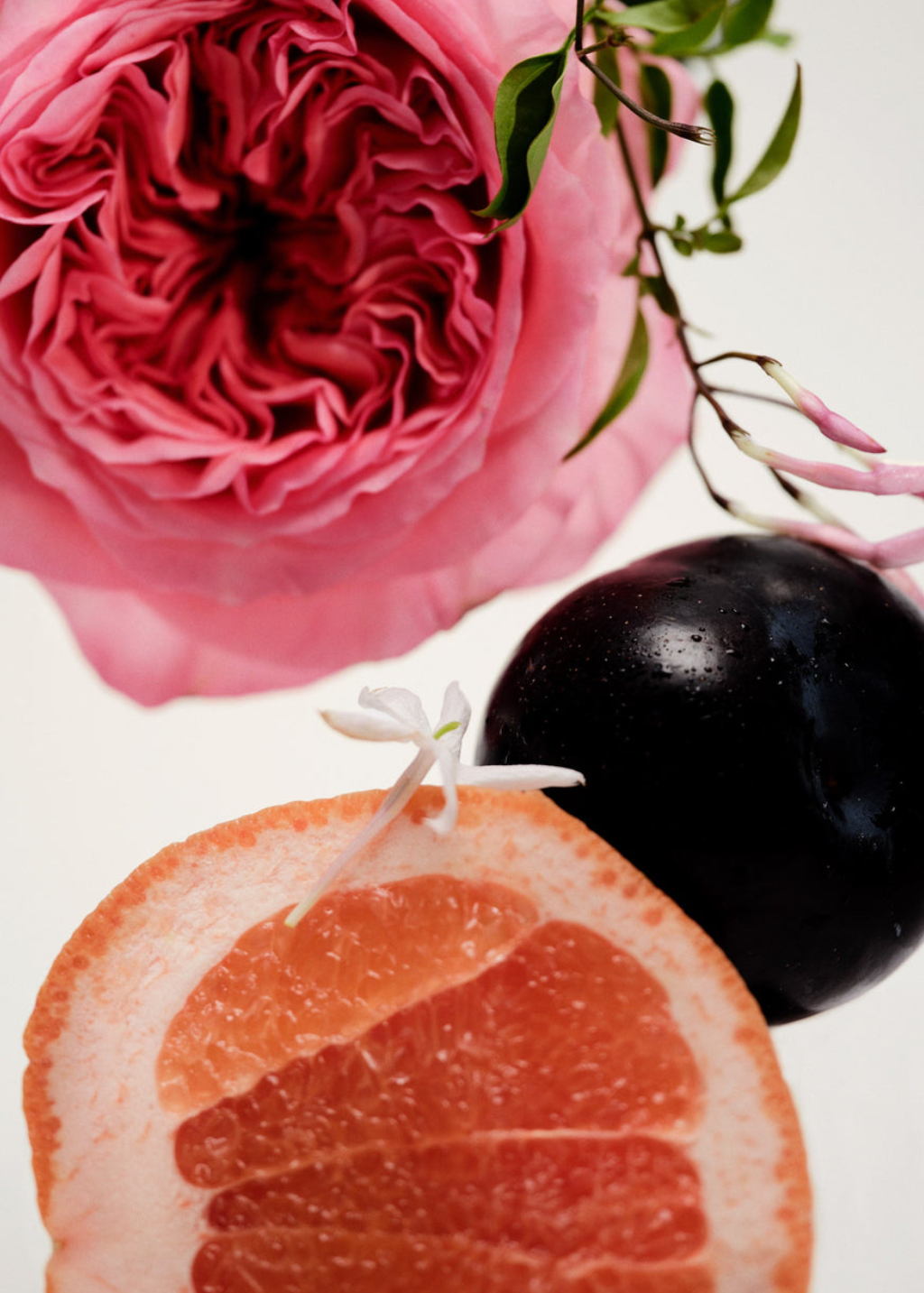 Maison Louis Marie No.14 Icila Perfume Oil | Shop Tula