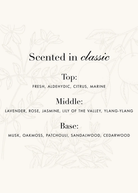 The Laundress Darks Detergent | Shop Tula