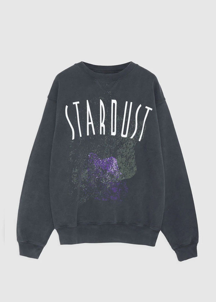 Anine Bing Stardust Sweatshirt | Tula Online Boutique